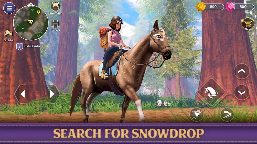 Star Equestrian - Horse Ranch (Стар Иквестриан)  [МОД Unlocked] Screenshot 3