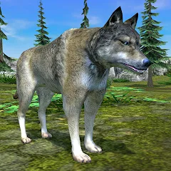 Взлом Wolf Simulator - Animal Games  [МОД Бесконечные монеты] - полная версия apk на Андроид