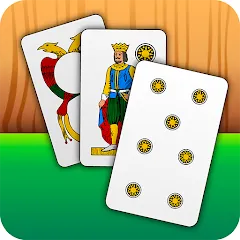 Скачать взлом Scopa - Italian Card Game (Скопа)  [МОД Mega Pack] - последняя версия apk на Андроид