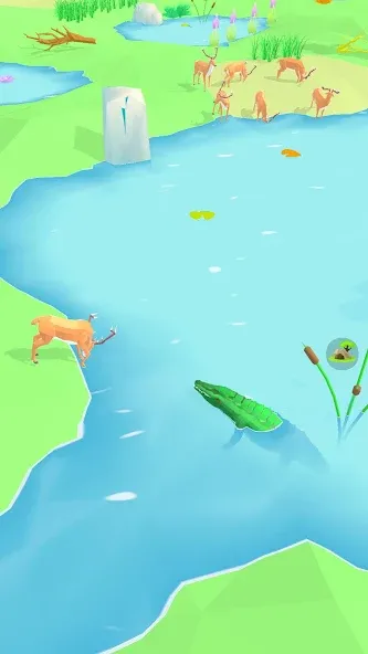 Animal Wildlife (Энимал Вайлдлайф)  [МОД Menu] Screenshot 5