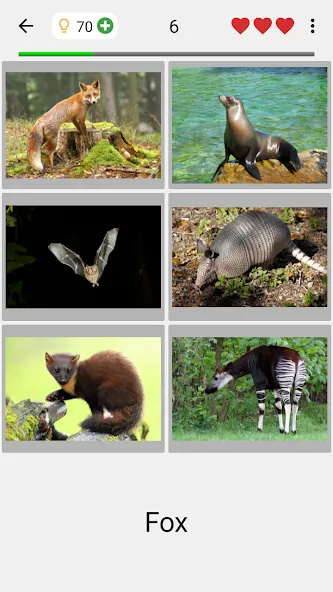 Animals Quiz Learn All Mammals  [МОД Unlimited Money] Screenshot 2