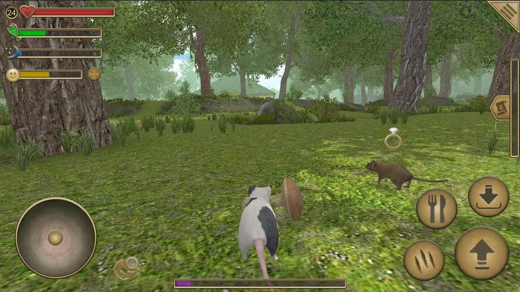 Mouse Simulator :  Forest Home  [МОД Много монет] Screenshot 1