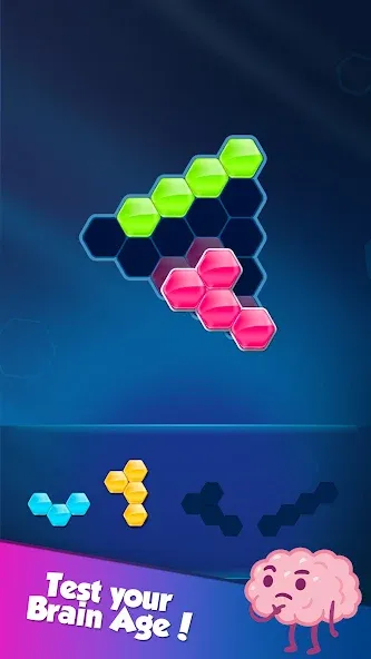 Block! Hexa Puzzle™  [МОД Бесконечные монеты] Screenshot 5