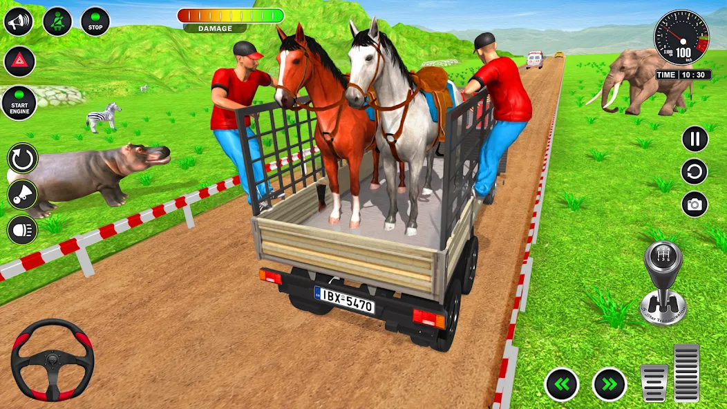 Animal Transport Truck Game 3D (Игра Грузовик для перевозки животных)  [МОД Бесконечные монеты] Screenshot 4