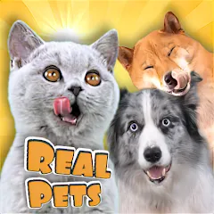 Взломанная Adopt a pet : Corgi Games (Риал Петс бай Фруви)  [МОД Unlocked] - полная версия apk на Андроид