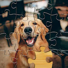 Взлом Jigsaw Go - Classic Jigsaw Puz (Джигсоу Го)  [МОД Mega Pack] - полная версия apk на Андроид