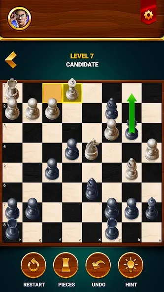 Chess - Offline Board Game  [МОД Много денег] Screenshot 5