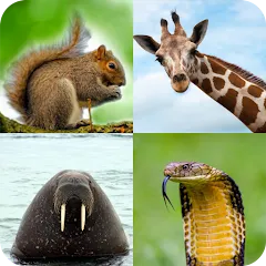 Скачать взлом Animal Quiz: Guess the Animal  [МОД Unlimited Money] - полная версия apk на Андроид