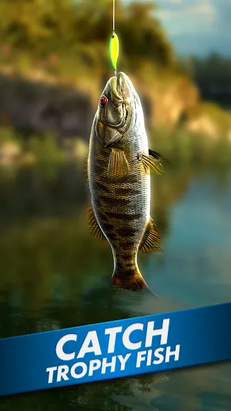 Ultimate Fishing! Fish Game  [МОД Много денег] Screenshot 1