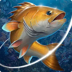 Скачать взломанную Fishing Hook  [МОД Unlocked] - стабильная версия apk на Андроид