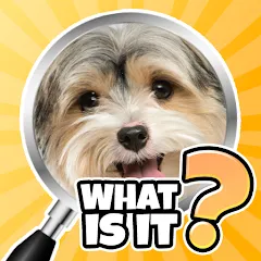 Взлом What is it? Pics Trivia Quiz  [МОД Все открыто] - полная версия apk на Андроид