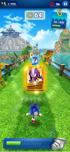 Sonic Dash - Endless Running (Соник Дэш)  [МОД Menu] Screenshot 4