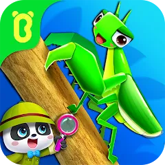 Скачать взлом Little Panda's Insect World  [МОД Много монет] - стабильная версия apk на Андроид