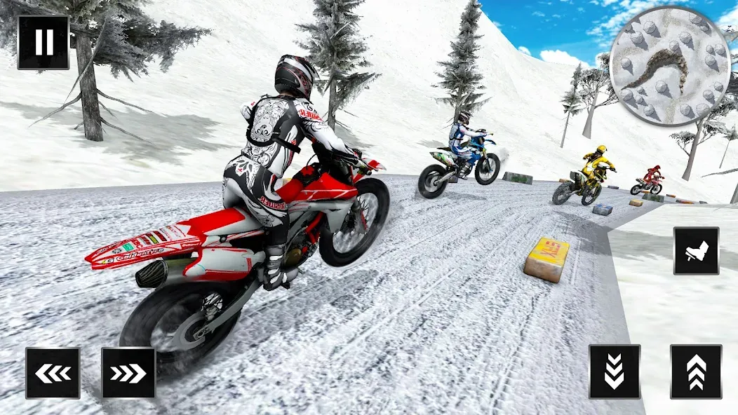 Motocross Dirt Bike Champions (Мотокросс Чемпионы Грязевых Мотоциклов)  [МОД Много монет] Screenshot 3