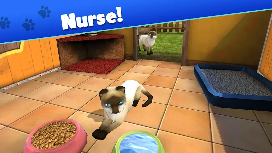 Pet World - My Animal Shelter (Пет Ворлд)  [МОД Много денег] Screenshot 3