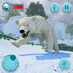 Скачать взлом Polar Bear Family Survival  [МОД Бесконечные деньги] - стабильная версия apk на Андроид