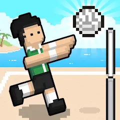 Скачать взлом Volley Random (Воллей Рэндом)  [МОД Unlimited Money] - полная версия apk на Андроид