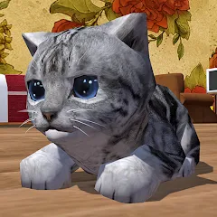 Взломанная Cute Pocket Cat 3D (Сьют Покет Кэт 3Д)  [МОД Много монет] - стабильная версия apk на Андроид