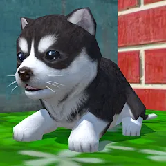 Скачать взлом Cute Pocket Puppy 3D (Сьют Покет Паппи 3Д)  [МОД Все открыто] - полная версия apk на Андроид