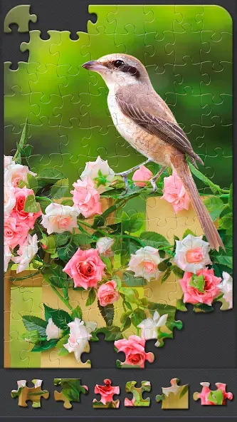 Jigsaw Puzzles for Adults  [МОД Все открыто] Screenshot 3