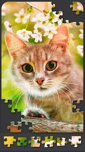 Jigsaw Puzzles for Adults  [МОД Все открыто] Screenshot 5