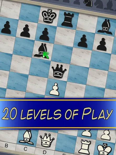 Chess V+ - board game of kings  [МОД Все открыто] Screenshot 5