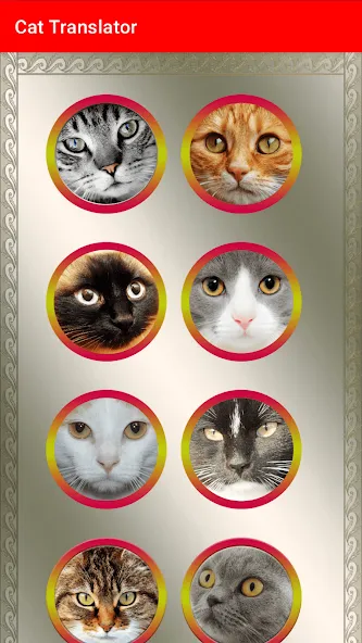 Translator for Cats Prank  [МОД Бесконечные деньги] Screenshot 3