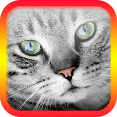 Взлом Translator for Cats Prank  [МОД Бесконечные деньги] - стабильная версия apk на Андроид