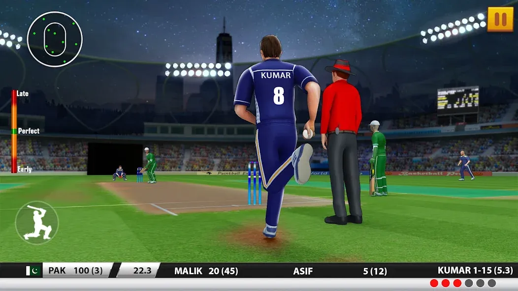 World Cricket Games :T20 Cup (Ворлд Крикет Геймс)  [МОД Все открыто] Screenshot 2