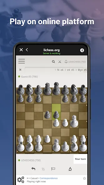 Chessnut (Честнат)  [МОД Меню] Screenshot 2