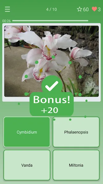 Quiz: Flowers, Plants  [МОД Много денег] Screenshot 2