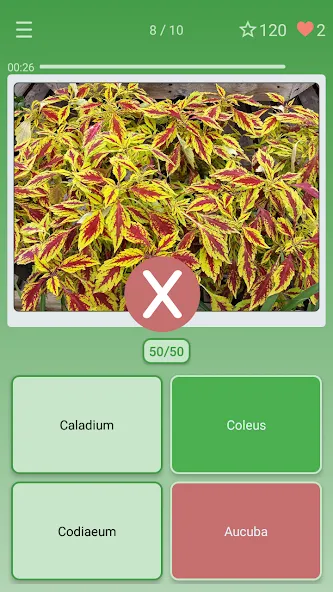 Quiz: Flowers, Plants  [МОД Много денег] Screenshot 3